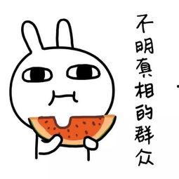 娱乐吃瓜酱怼亲戚,揭秘家庭欢乐背后的真相